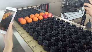 Chinese fruit pitting machine wholesaler,apple pitter machine