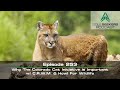 EP. 253 | WHY THE COLORADO CAT INITIATIVE IS IMPORTANT W/ C.R.W.M & HOWL FOR WILDLIFE
