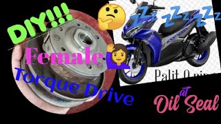 REPLACEMENT OF TORQUE DRIVE O RING & OIL SEAL || YAMAHA MIO AEROX 155