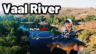 Catching Big Fish at the Vaal River - Hot Spot & Big Carp in this Venue