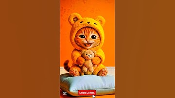 Yellosh Fluffy Cat 😱 Singing apt apt Song lyrics #apt #cat #catsinging #viralshorts