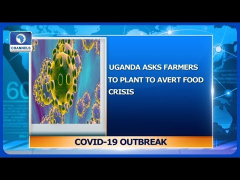 COVID-19: Uganda Asks Farmers To Plant To Advert Food Crisis