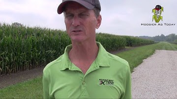 Roundup Ready Xtend Crop System