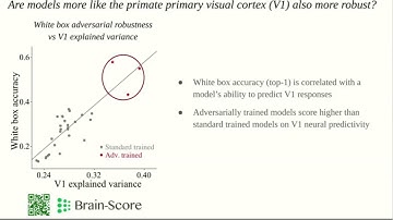 Simulating a Primary Visual Cortex at the Front of CNNs Improves Robustness to Image Perturbations