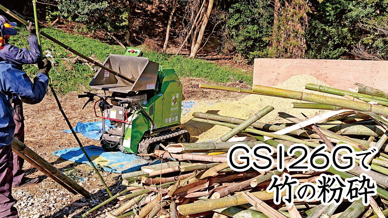 【伐採材の処理】樹木粉砕機（GS126G）で竹の粉砕【植光園】
