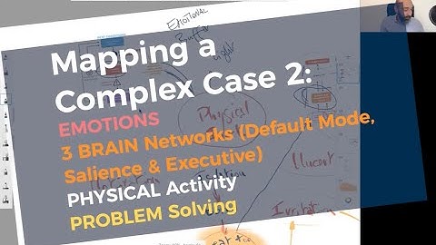 EMOTIONS, 3 BRAIN Networks (Default Mode, Salience & Executive)  PHYSICAL Activity, PROBLEM Solving