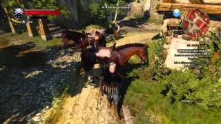 The Witcher 3: Wild Hunt Summon Call 2 Roach