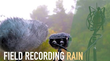 FIELD RECORDING NATURE(RAIN)
