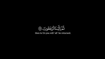 كرومة شاشة سوداء بصوت الشيخ #عبدالرحمن_الماجد #سورة_آل_عمران