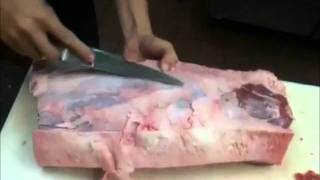 Chef Ton T.j Indie Psu37 Live In Virginia 12Th December 2011