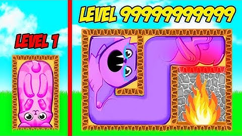 I Put Cats in UNCOMFORTABLE SITUATIONS In Puzzle Cats