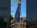 giant tree cutting moments caught on camera #logging #trees #viral #ice #funny #tree #snow #relax