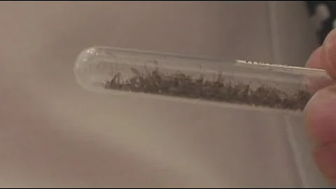 Mosquito spraying to begin after positive West Nile virus tests