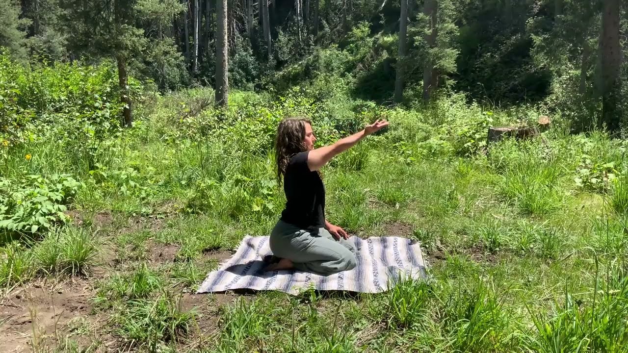 Daily Mobility - CARS and Reposturing