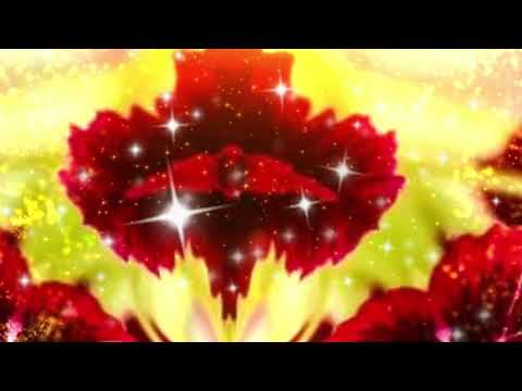 岩崎宏美　万華鏡😘　🎤まりん