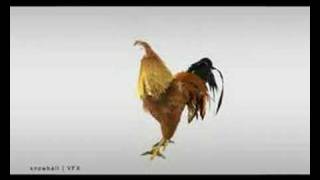 Creating a CG rooster