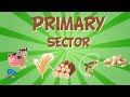 Primary sector  jobs and their classification  educationals for kids