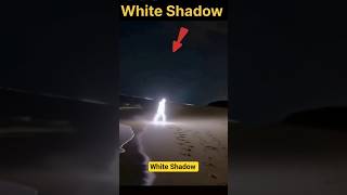 White Shadow #creepy #horrorstation #hauntedplace #ghost #horror #scary #shortvideo #shorts