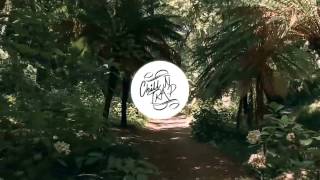 Mr. Carmack - Roller