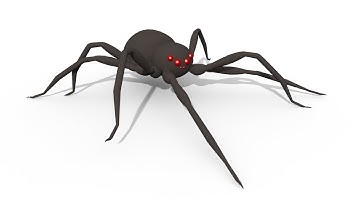 Modeling and rigging a spider in 3DS Max.