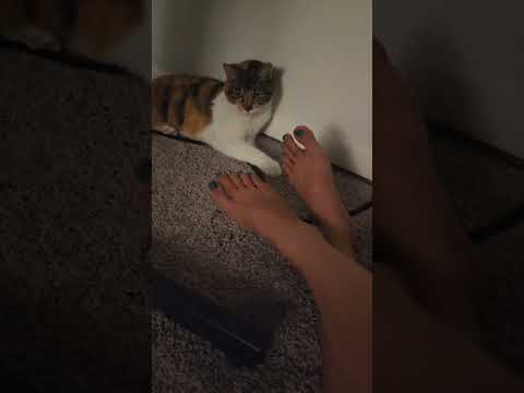 Footplay w Lucy the 🐈 😻