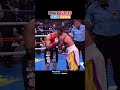 Pitbull Cruz VS. Tank Davis | HIGHLIGHTS #boxing #sports #combat