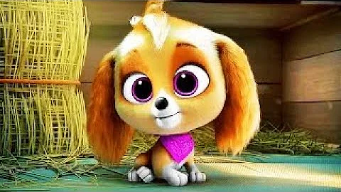 Skye Origin Scene | PAW PATROL: THE MIGHTY MOVIE (2023) Movie CLIP HD