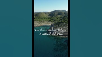 وسارعوا إلى مغفرة من ربكم وجنة عرضها السماوات والأرض أعدت للمتقين || سورة آل عمران بصوت شجي #المصحف