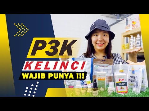 Video: Perawatan Kelinci: Perlengkapan P3K Untuk Kelinci Anda