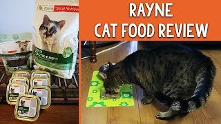 rayne cat food