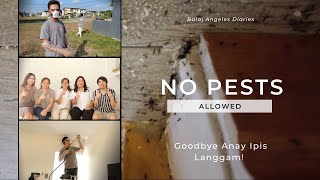 Balai Angeles Diaries | Ep 8 Maintaining a Pest Free Home | Ant & Termite Control Treatment