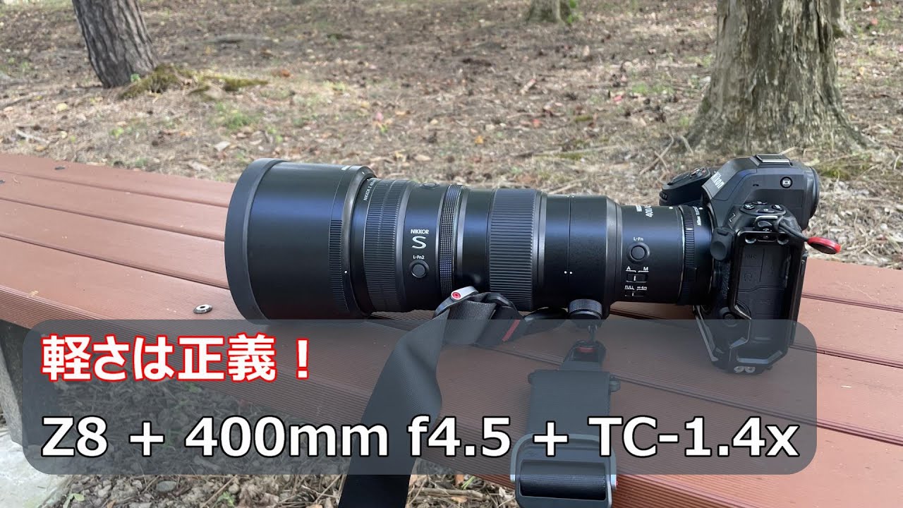 Lightweight is King After All: Wildlife Photography with the Z8
