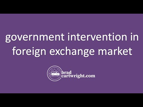 Government Intervention In Foreign Exchange Market | IB International Economics | The Global Economy