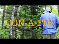Con-a-fir. Love the forest :)