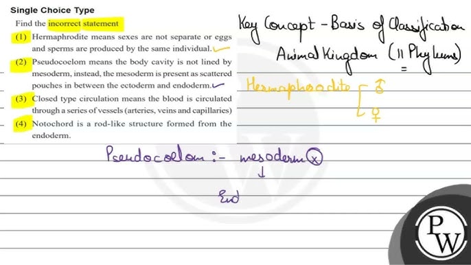 Jinsiy kiyimdagi qizlar