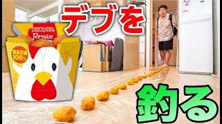 デブは大量のからあげクンで捕獲できるのか？【モニタリング】