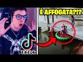 I TIKTOK PIÙ VISTI DEL MONDO!!