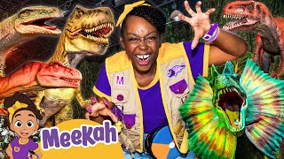 meekah meets all her favorite dinosaurs
