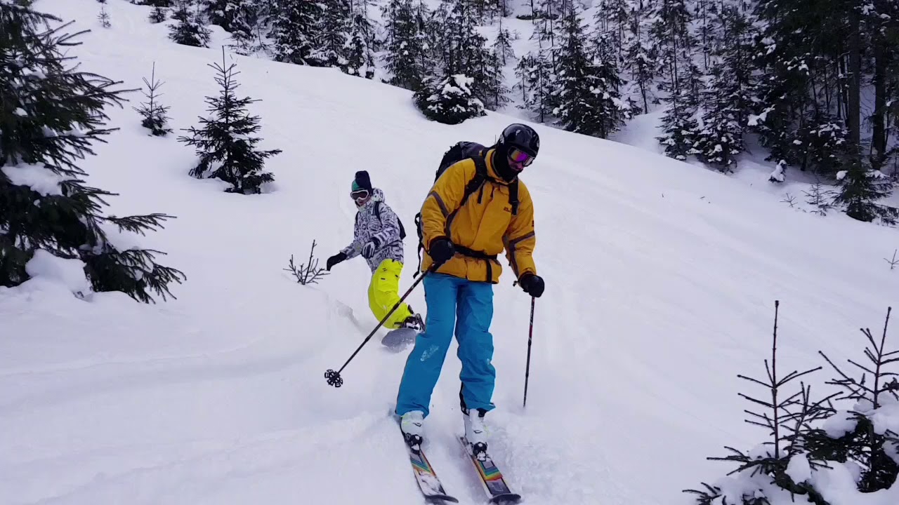 Freeride and friends in powder