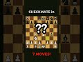 LEGAL'S TRAP ? #chess #shortvideo #shortsfeed #short #shorts