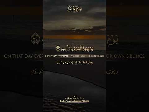 سورة عبس آیه ۳۴ ۳۷ شیخ محمد اللیثی رحمة الله 