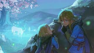 Zelink Zelda X Link