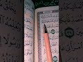 ربي هابلي من لدنك ذرية ظويبة انك سميع الدعاء  تلاوة القرآن الكريم الشيخ ماهر المعيقلي
