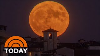Full Moon Fever Strikes As Millions Snap Shots Of Supermoon