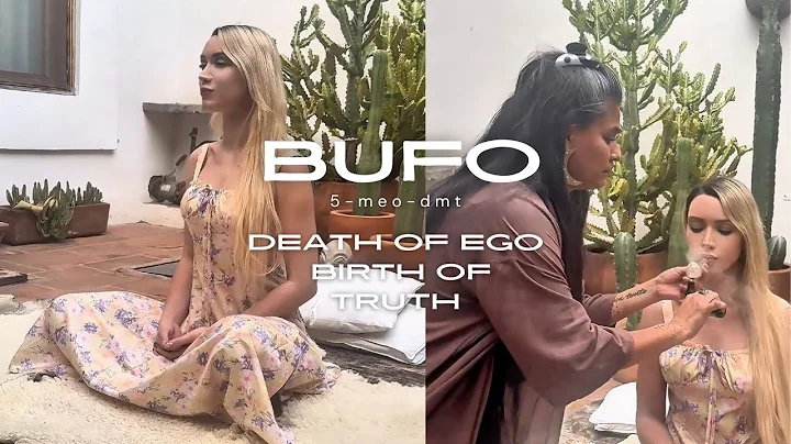 Bufo Alvarius & the God Molecule (5-MeO-DMT) — My Sacred Rebirth