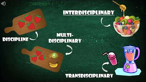 Interactive Interdisciplinary Learning