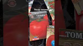 Посев томатов #санька #сказка #хлебисоль #гулливер