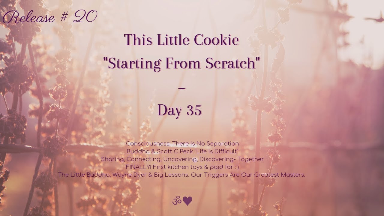Starting From Scratch ~ Day 35 (release #20) - YouTube