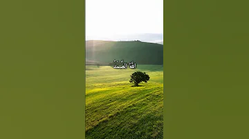 القارئ محمد الفقيه سورة الإخلاص 