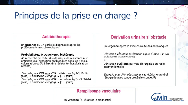 7 48 1 Sepsis urinaire grave